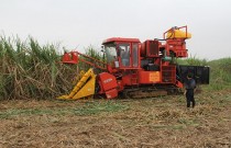 甘蔗生产机械化：让制糖企业进入“第一车间”