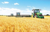 辽宁省今年粮食总产量同比增长14.2% 增幅全国第一位