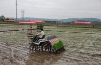 湖南以“千社工程”引领水稻生产全程机械化