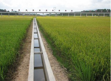 2020年农田有效灌溉面积将达10亿亩