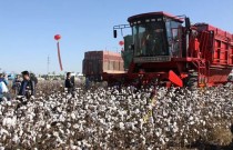 长江流域棉花生产机械化起步