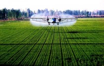 全球视野下的农业现代化改革