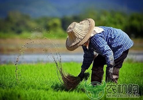 《方案》：建立以绿色生态为导向的农业补贴制度