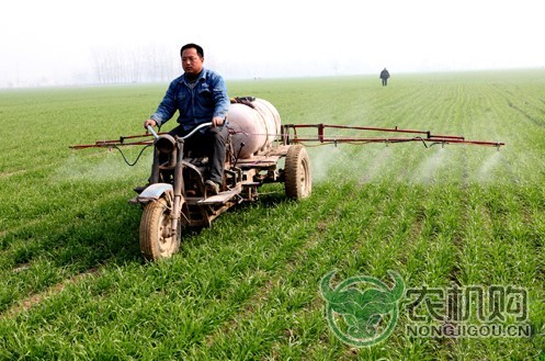 高青县：越冬小麦“杀菌”实现机械化
