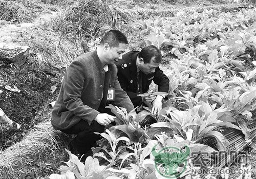 韶关市严格规范农资经营和农产品生产行为