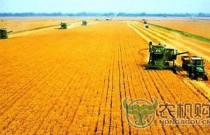 经济观察：中国谋划农民增收新途径