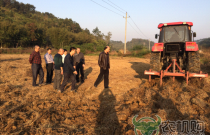 【广东】清远市政府到英德市督查农机深松整地作业工作