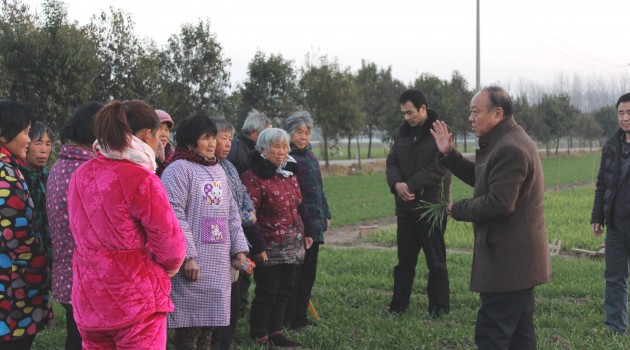 太和县：培训到田头，机艺巧融合