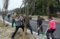 玉林植树造林为建设“绿色生态田园都市”再添新绿