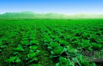 节水迈出重要步伐 农业发展“底色”更绿了