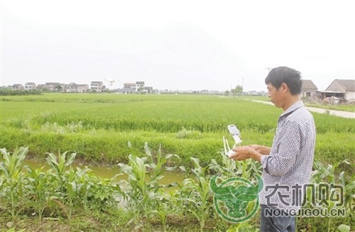 烈日当空 足不出户精准巡视水稻田 只需一台植保无人机