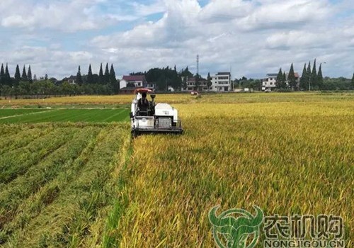 双抢农忙季  攸县人机繁忙