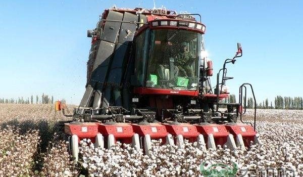 “立足大农业，发展大农机” 沙湾县立足成为全国一流农机化