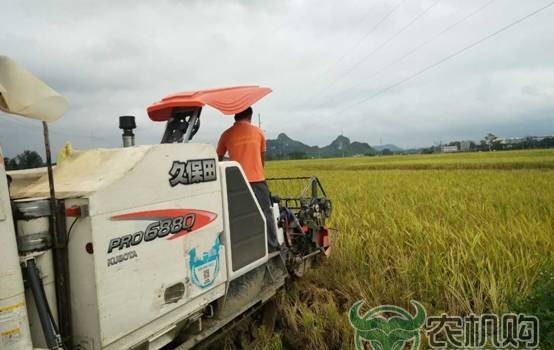广西：互联网收割首战告捷 夏收水稻面积已达万余亩