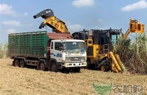 柳工甘蔗收获机挺进柬埔寨市场 再获一笔出口大单！ 