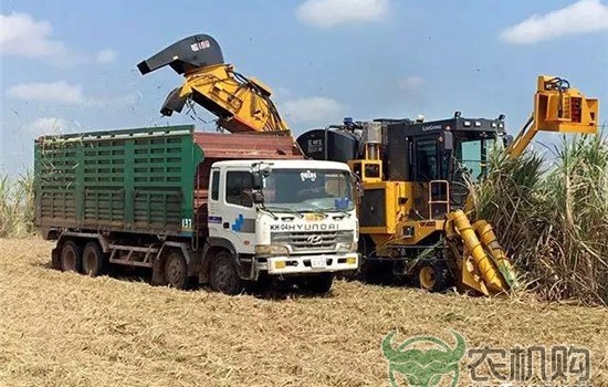 柳工甘蔗收获机挺进柬埔寨市场 再获一笔出口大单！ 