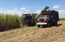 “中国智造”农机突破拉美市场  中联重科甘蔗收获机亮相墨西哥引关注