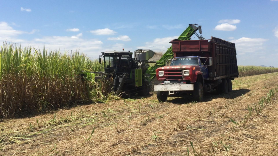 “中国智造”农机突破拉美市场  中联重科甘蔗收获机亮相墨西哥引关注