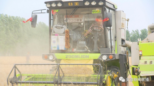 安徽夏收进入高峰期 新型农机助力小麦高效抢收