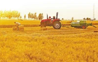 河南小麦已收获3073万亩 机收率99%