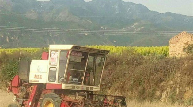 农机普及率快速增高 “麦客”转型正当时
