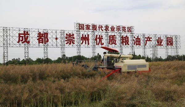 油菜分段收获装备性能大幅提升