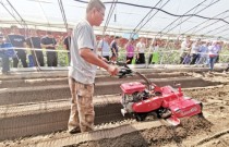 日光温室草莓起垄机研制成功