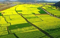 安徽省支持新型农业经营主体建设高标准农田