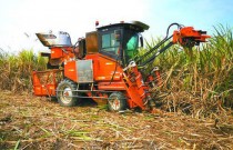 广西加大农机研发、补贴等力度，推动糖业降本增效