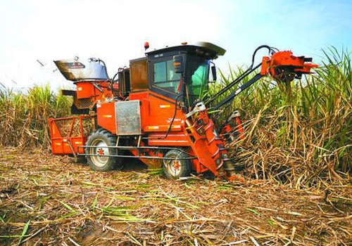 广西加大农机研发、补贴等力度，推动糖业降本增效