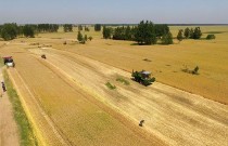 2020年全国大规模小麦跨区机收全面展开
