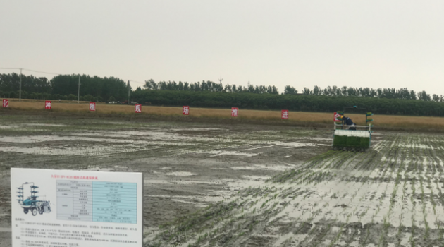 江苏省新增水稻插秧机近4000台 粮食生产将实现全程机械化