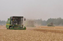 河北小麦机收会战正式打响 200万台农机保“三夏”丰产丰收