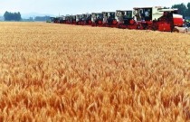 安徽省小麦抢收任务全面完成，较往年提前5天，创造麦收新速度