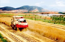 山西省农机发展中心公布15个“全程机械化+综合农事”服务中心典型案例