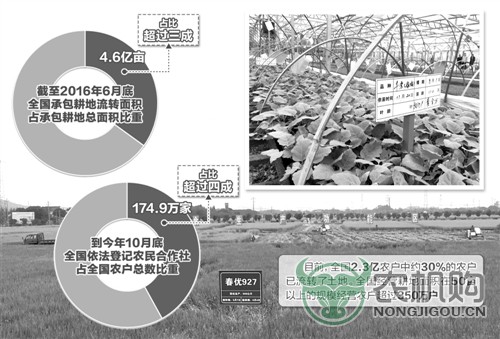 新型主体唱主角 适度规模有效益.jpg